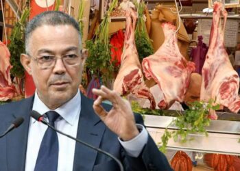 لحوم بـ80 درهماً للكيلوغرام.. لقجع يكشف توجهاً جديداً لمواجهة غلاء الأسعار بالمغرب