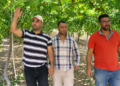 أزمة الماء وتكاليف الإنتاج تضع سهل صبرة والكارت في صدارة التحديات الفلاحية بالناظور