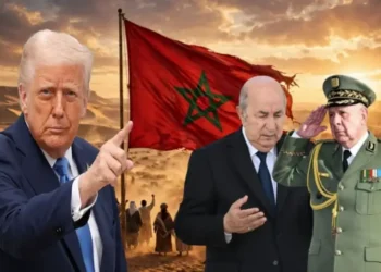 نهاية حلم الاستفتاء تقترب؟ ترامب يدفع بمسودة جديدة بشأن الصحراء المغربية تضع الجزائر والبوليساريو أمام اختبار صعب