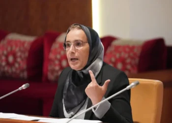 خديجة الزومي تتصدر لائحة المرشحين لخلافة ماديحة خيير في حكومة المنصوري